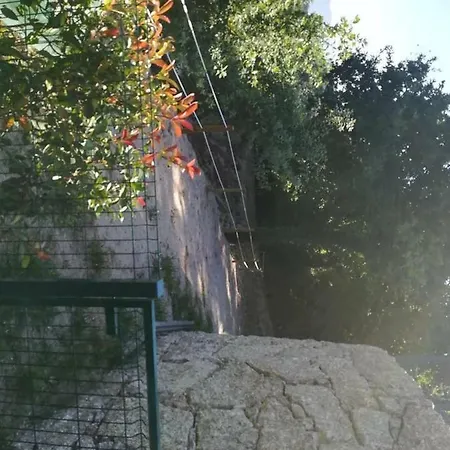 Casa Cunha Geres Braga